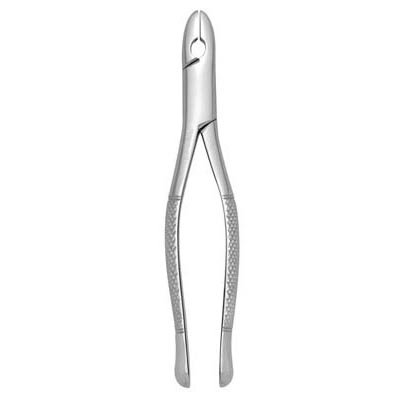 Extracting Forceps #99C