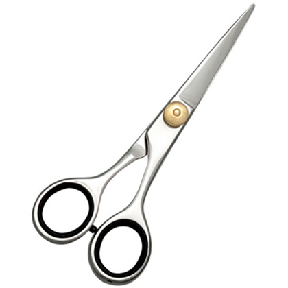 Barber Scissors