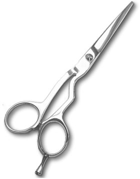 Barber Scissors