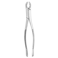 Extracting Forceps #17