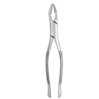 Extracting Forceps #32